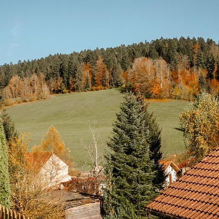 Terrasse Des Monts - Duplex Independant De Charme Lägenhet Les Hopitaux-Neufs Exteriör bild