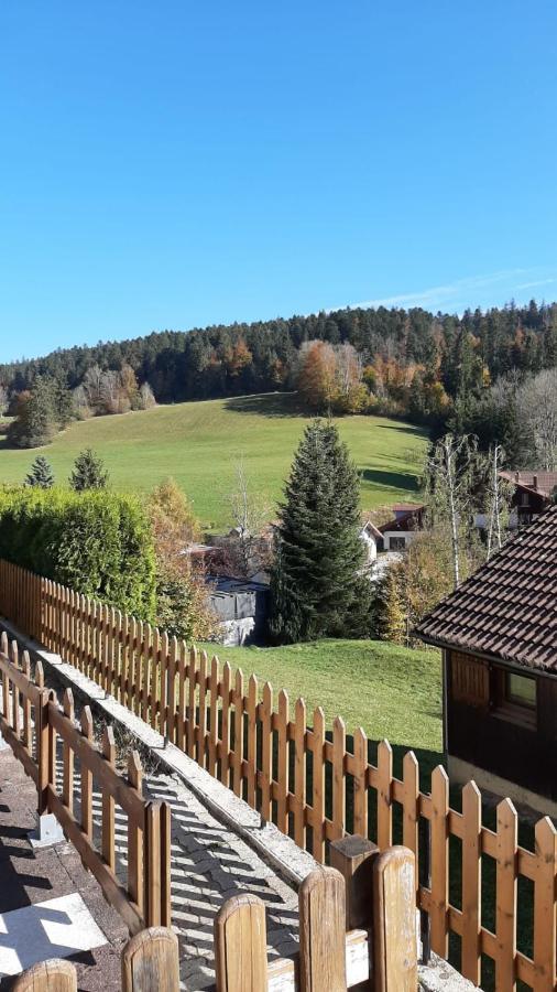 Terrasse Des Monts - Duplex Independant De Charme Lägenhet Les Hopitaux-Neufs Exteriör bild