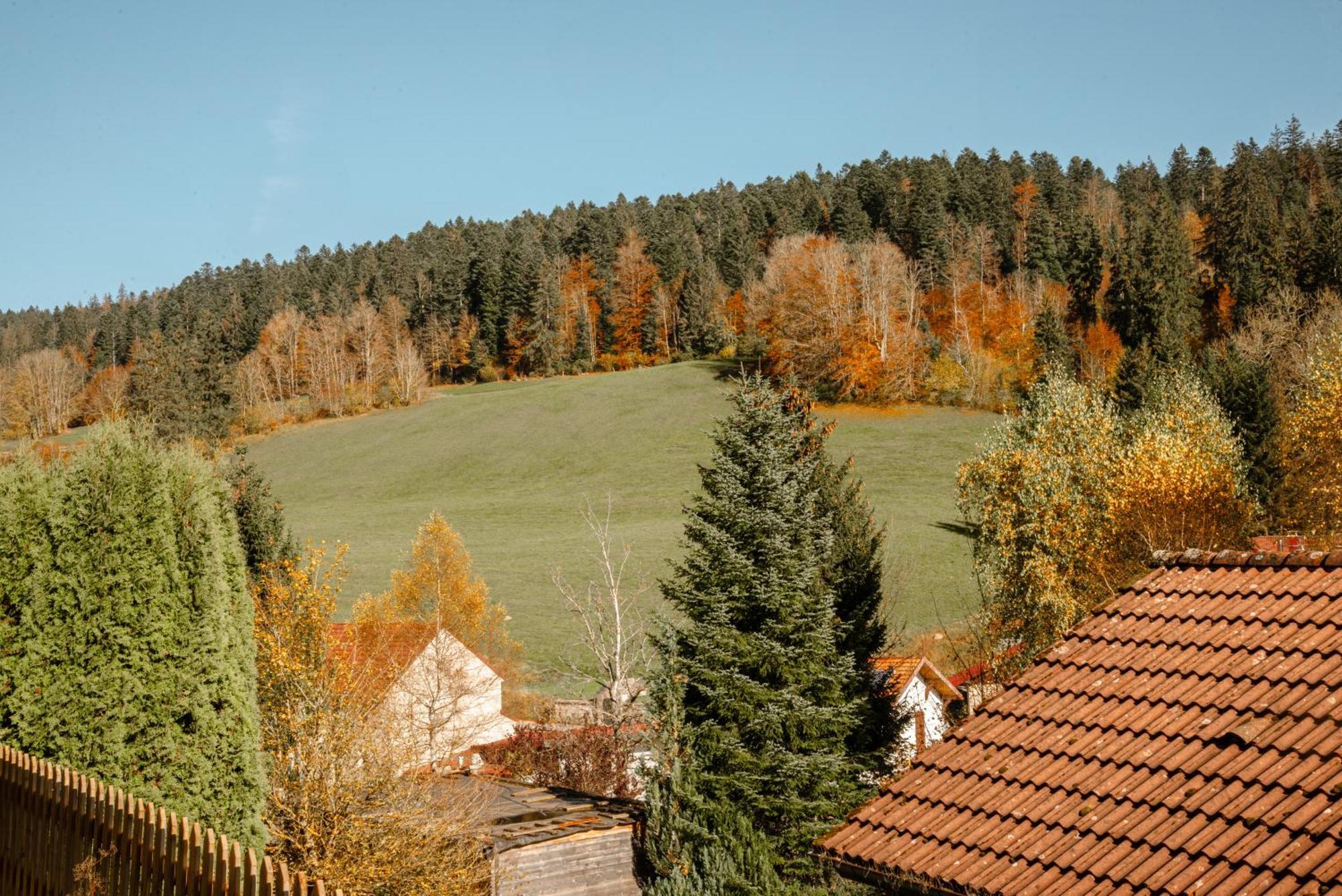 Terrasse Des Monts - Duplex Independant De Charme Lägenhet Les Hopitaux-Neufs Exteriör bild